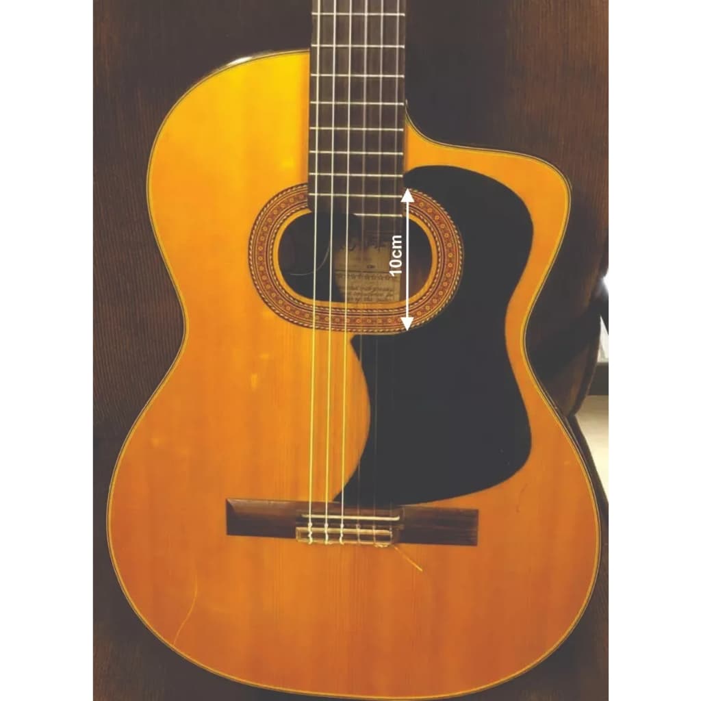 Escudo Violão Boca Oval Takamine E30 Japan Original