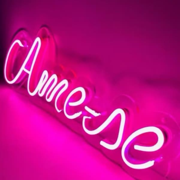 Luminária AME-SE 25x10cm Neon Led Painel Acrílico com fonte bivolt