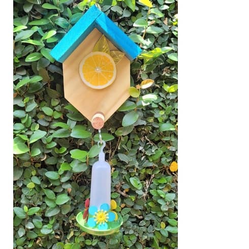 Casinha de Passarinho, Comedouro de Pássaros com bebedouro Beija Flor