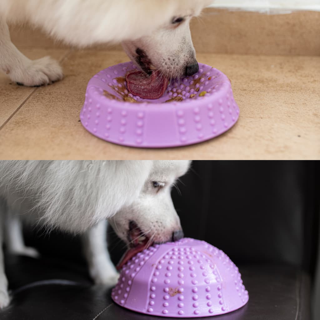Comedouro Interativo Bowl 4 em 1 Para Cachorro e Gato | comedouro interativo para alimentação lenta - Petiko