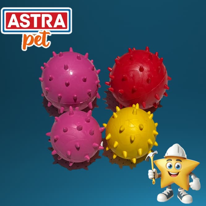 BOLINHA BRINQUEDO CACHORRO E GATO PET COM CRAVOS ASTRA
