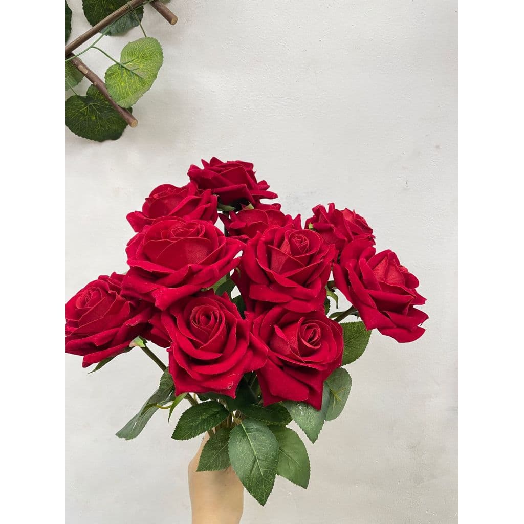 Rosa aveludada unidade/H0082
