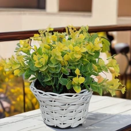 Planta Suculenta Artificial Realista Cores Vivas com Cesto Branco