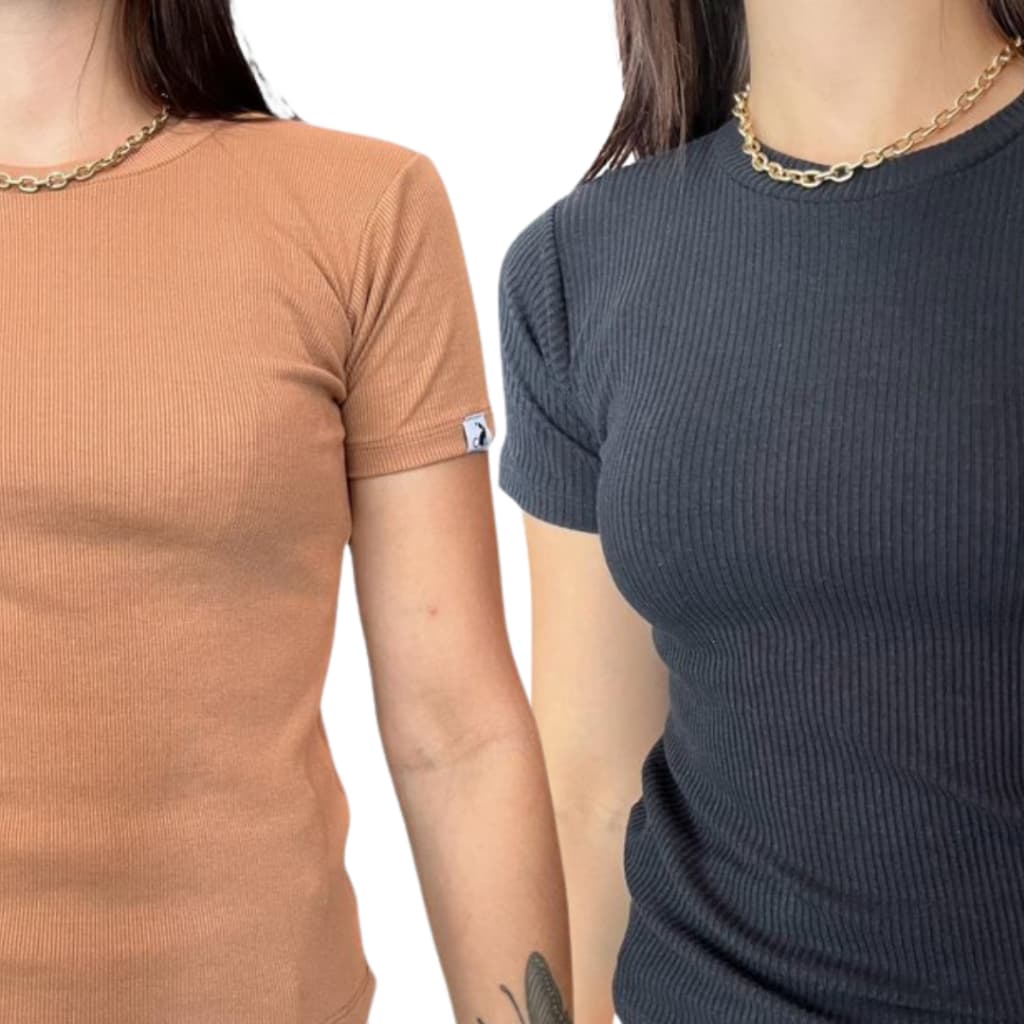 Kit 2 Camiseta T Shirt Femininas Ver茫o Canelada Lisa Cores Sortidas