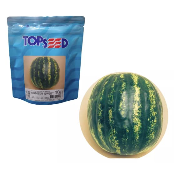 Sementes Melancia Crimson Sweet 100g Topseed Garden