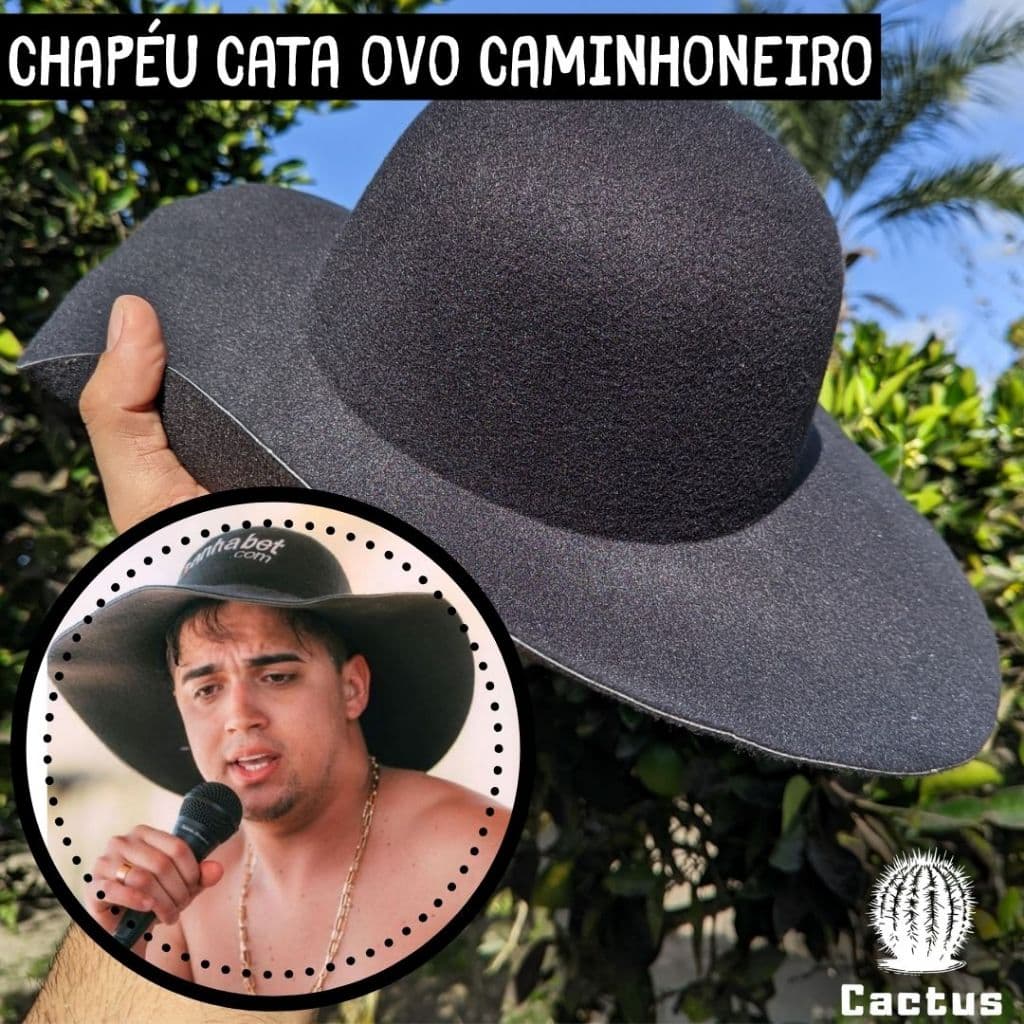2 Chapéu Cata Ovo Caminhoneiro Trucker Country Sertanejo Feltro macio Natanzinho Lima Pança de burro