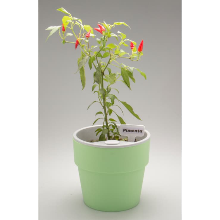 Vaso Autoirrigavel Elegante Cor M Ou Horta Antidengue 15x 12,7cm