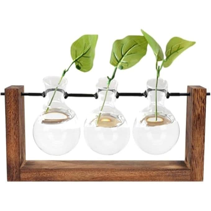 Vaso de Vidro Redondo Decorativo para Plantas- Com Suporte de Madeira para Decoração de Mesa Sala
