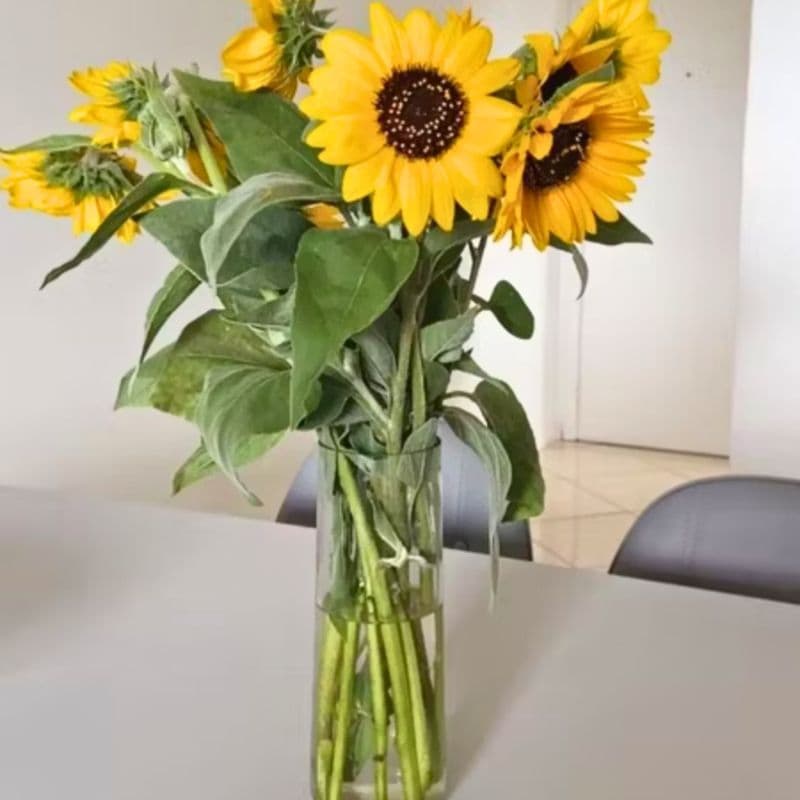 Vaso de Vidro Cilíndrico Transparente Tubo para Decoração Artesanal feito a Mão