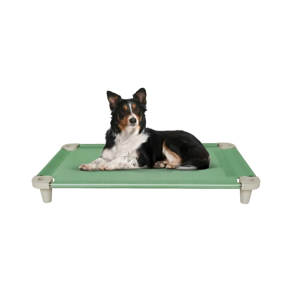 Cama Pet Cama para Cachorros Confortável Higiênica Caminha Lavável Manta Verde Pés Gelo Acrimet 709
