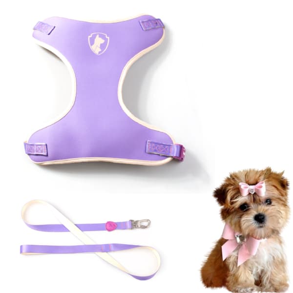 Coleira Peitoral para Cachorro com Guia Aurora Liffe Freefaro Original