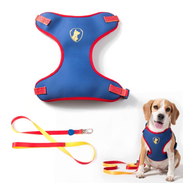 Coleira Peitoral para Cachorro com Guia Liffe Recreio Freefaro Original