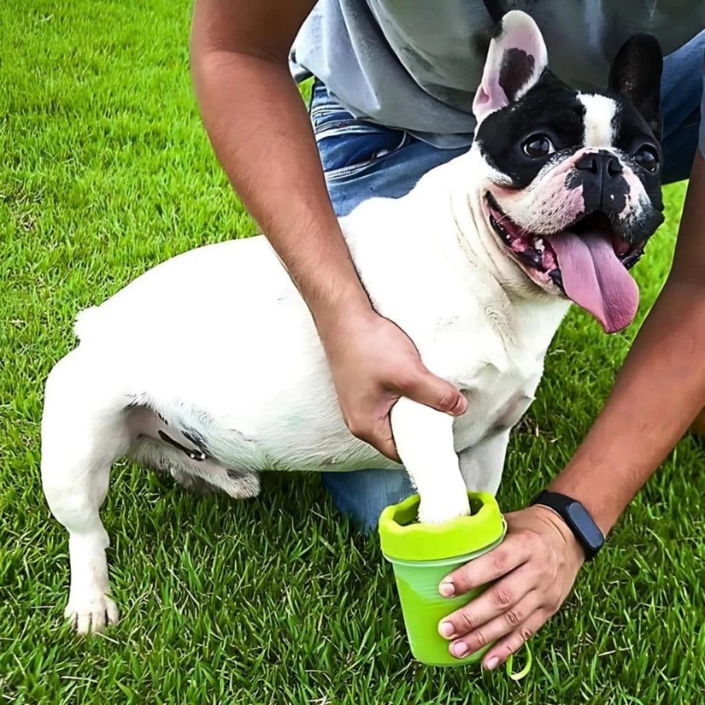 Lava-Patas para Cachorros Pequenos limpeza Rápida e livre de Germes - Uso doméstico ou em viagens