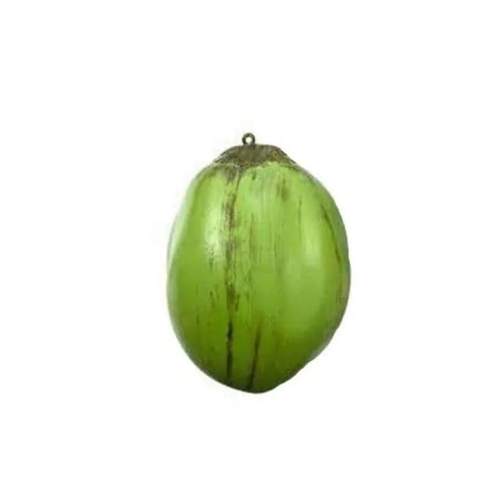 Côco Artificial De Plástico - Unidade