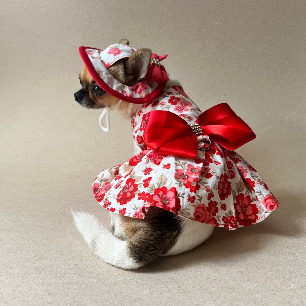 Vestido pet + chapeu para cachorro e gato roupa pet verão