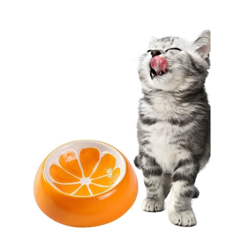 Comedouro Bebedouro Frutinhas De Porcelana Para Cães e Gatos