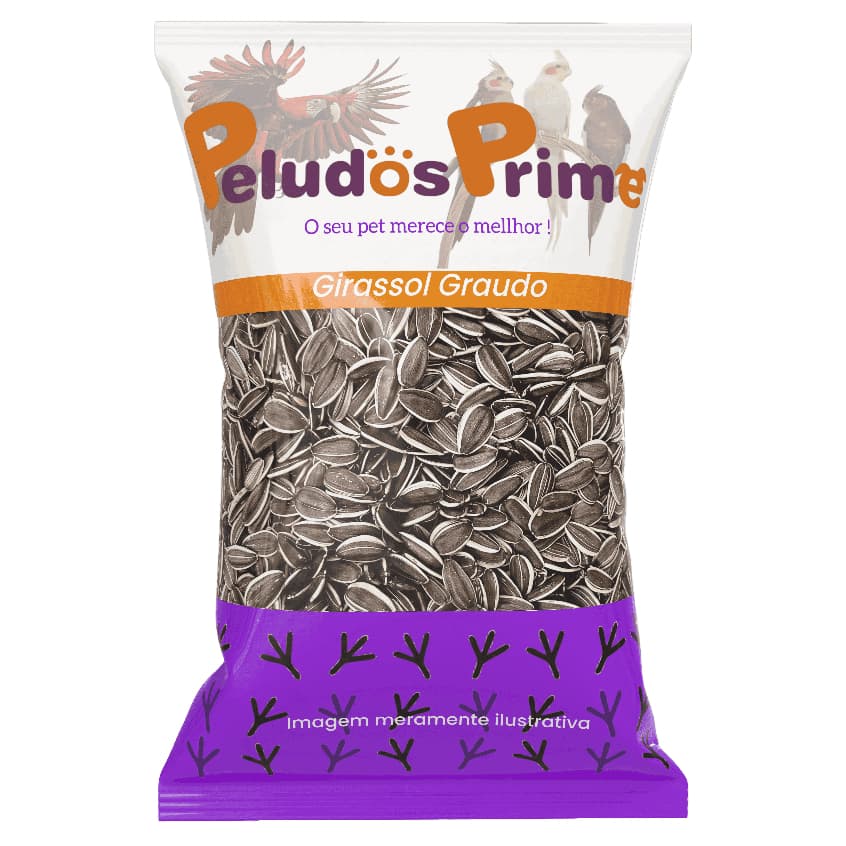 Semente Girassol Graúdo - 2 KG - Selecionado - Triplamente Limpo
