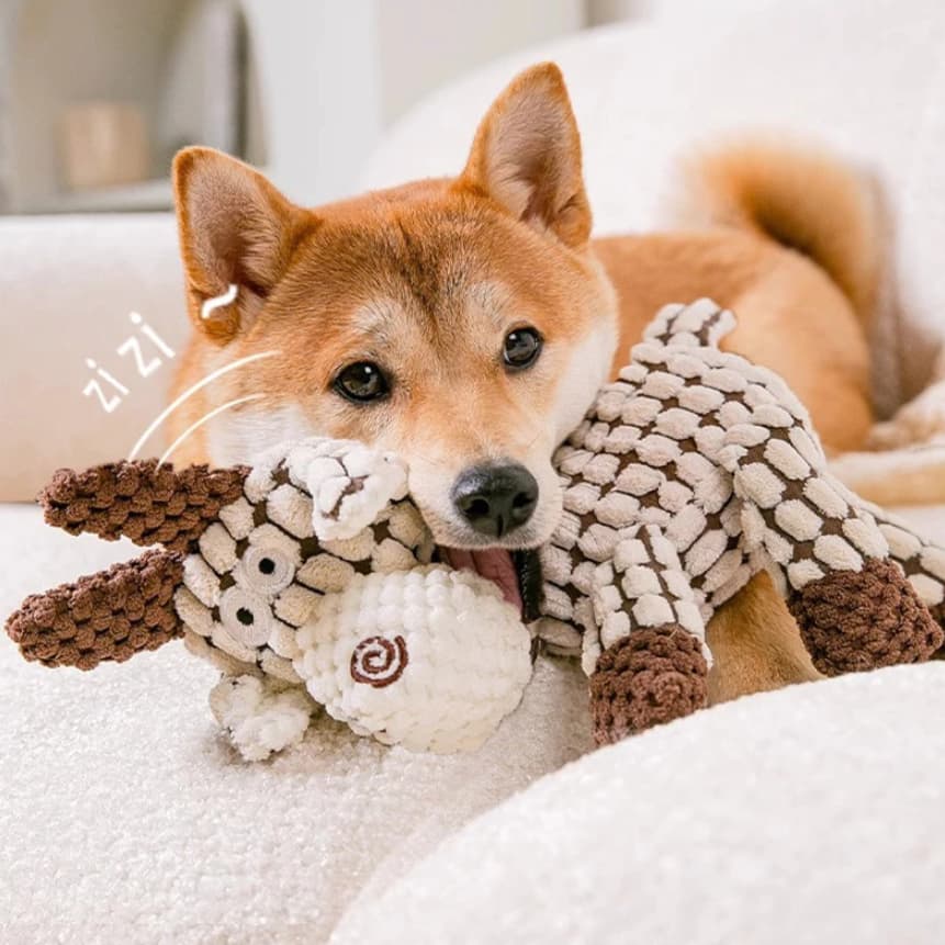 Brinquedo Pet Pelúcia Para Cachorros Burrinho Super Resistente a Mordidas e Puxões