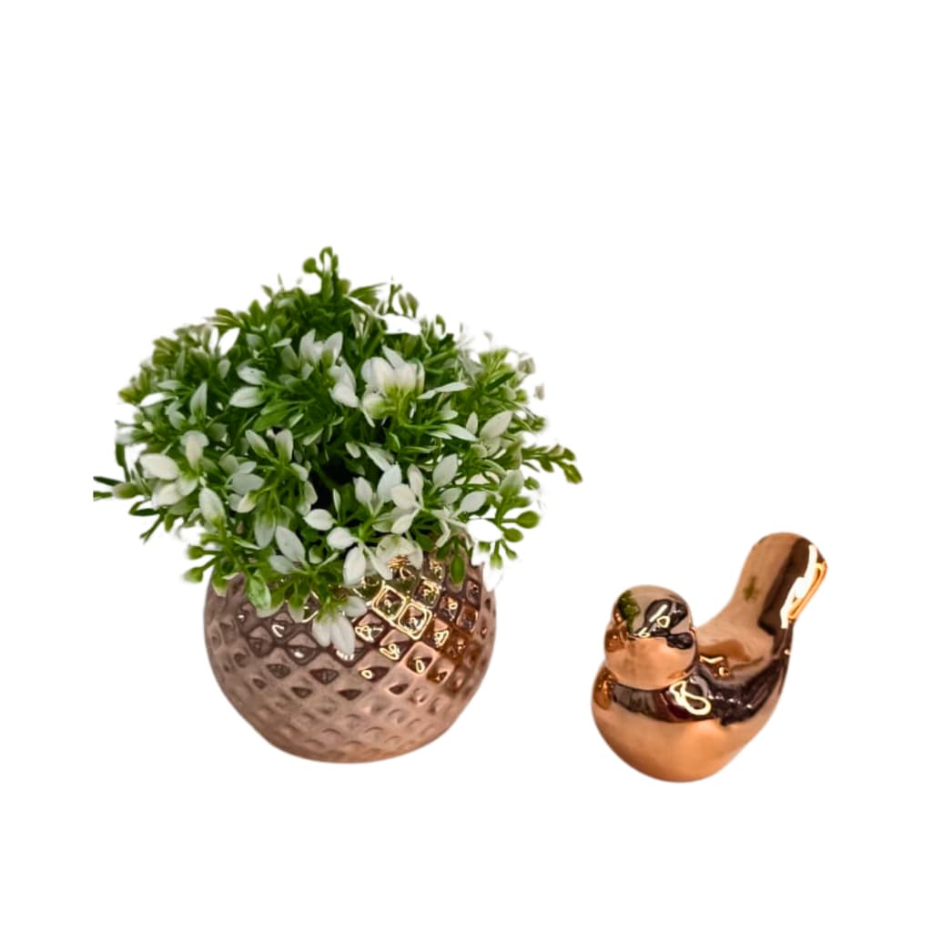 Kit Conjunto Vasinho Vaso Cachepo, Planta Pick Pássaro Decoração