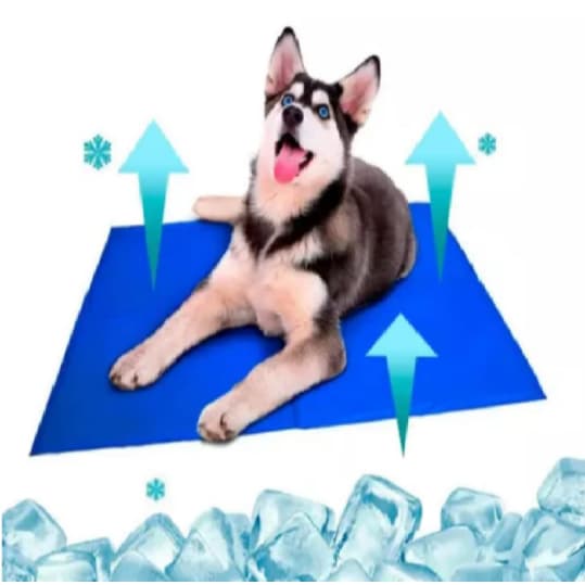 Tapete Gelado E Refrescante Verao Para Caes Gatos 30X40cm Pets