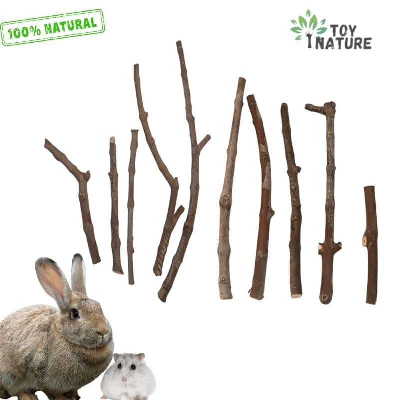 Galho natural 100% aves roedores e coelhos Enriquecimento Ambiental