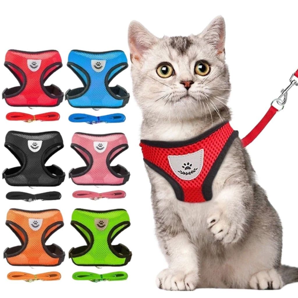 Guia Coleira de Malha Flexível com Colete Peitoral Ajustável para Cão Cachorro Gato Animais