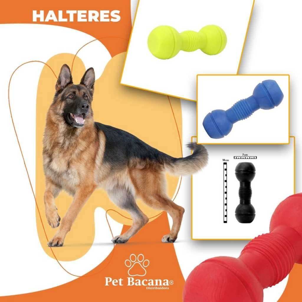Halteres Brinquedo Mordedor Pet Maciço para Cães Cachorro Cores Variadas