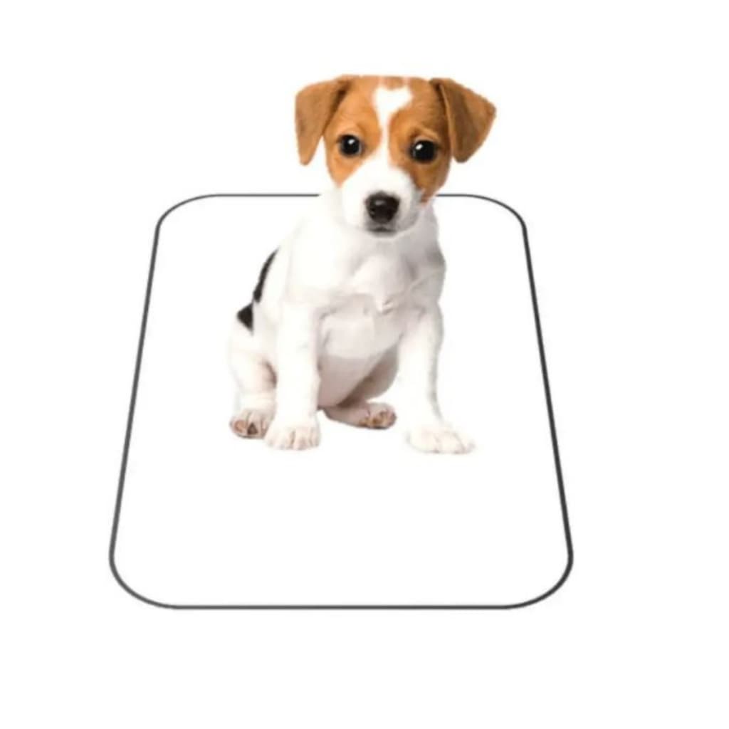 Tapete Higiênico Pets Lavável  Resistente 70 cm x 50 cm
