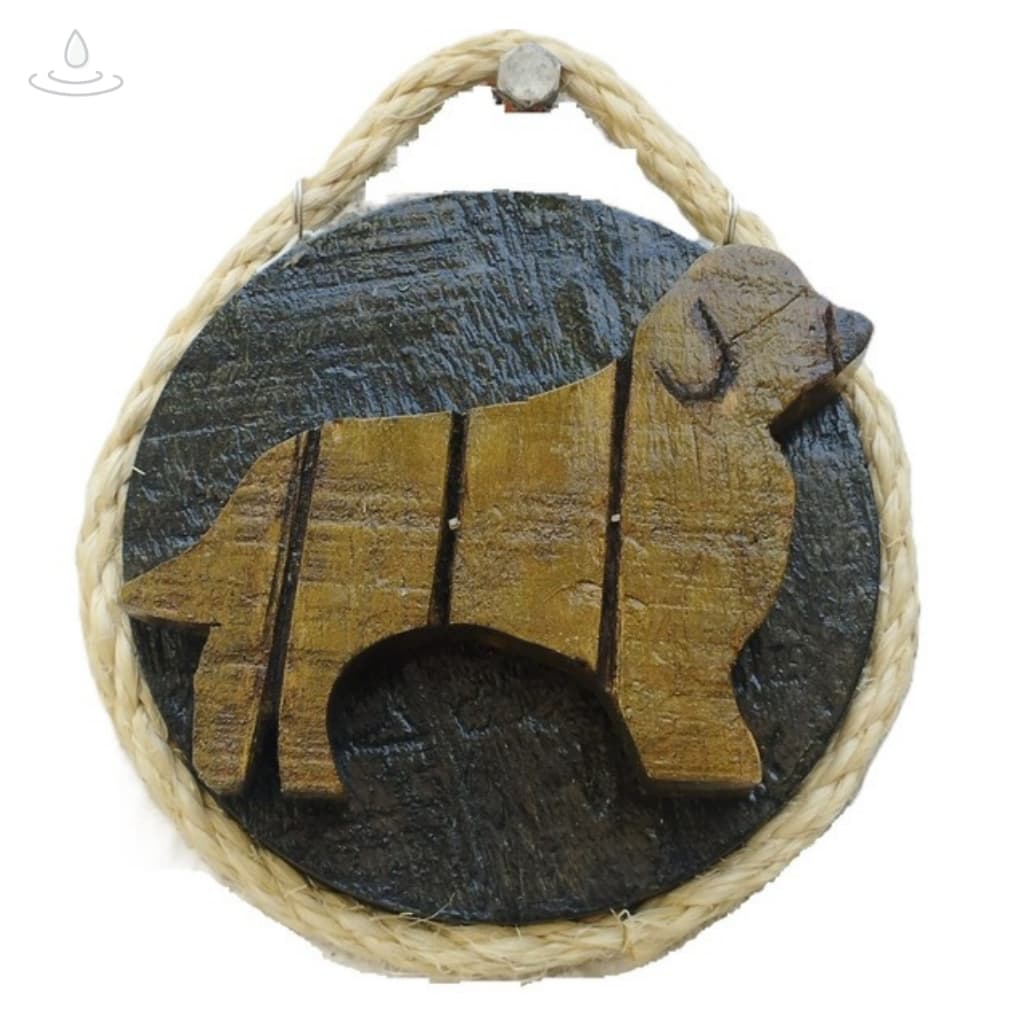 Quadro Decorativo com Gancho para Acessórios de Pets como Guias, Coleiras de cachorro e Bolsas!