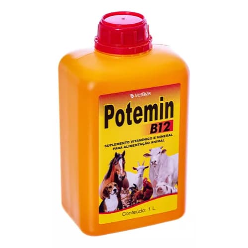 Suplemento Vitamínico E Mineral Potemin B12 1 Litro