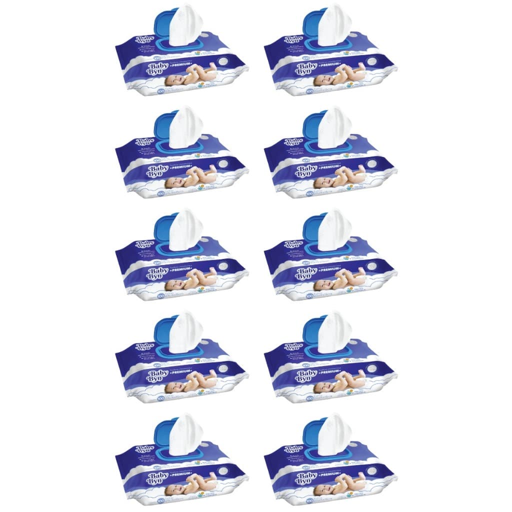 Toalha Umedecida Baby Byn Premium 1000 Folhas (10undX100fls)