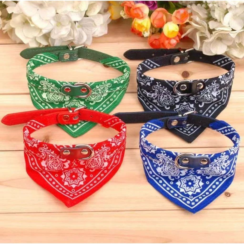 Coleira - Bandana - Gatos E Cachorros - De Pequeno - Porte E Grande