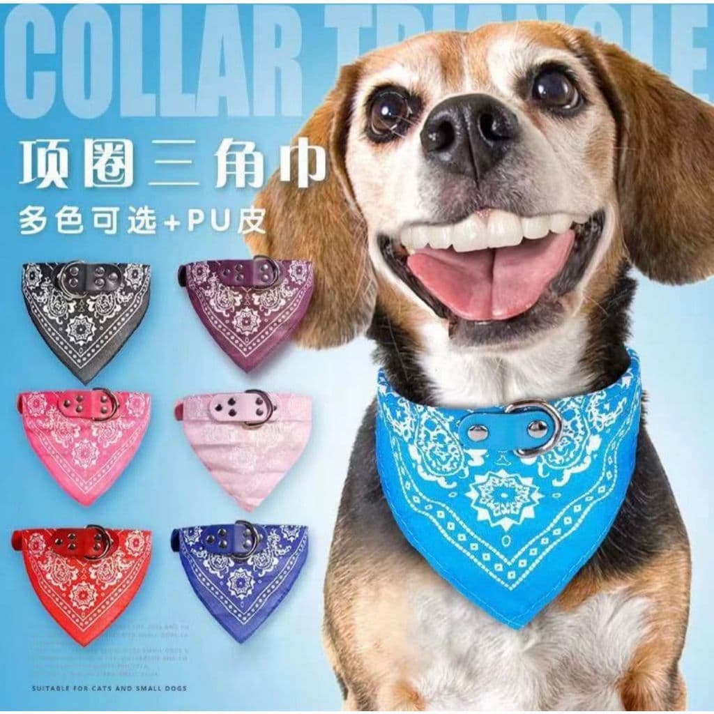 Coleira Para Gato e Cachorro Com Bandana - P - M - G - Promoção
