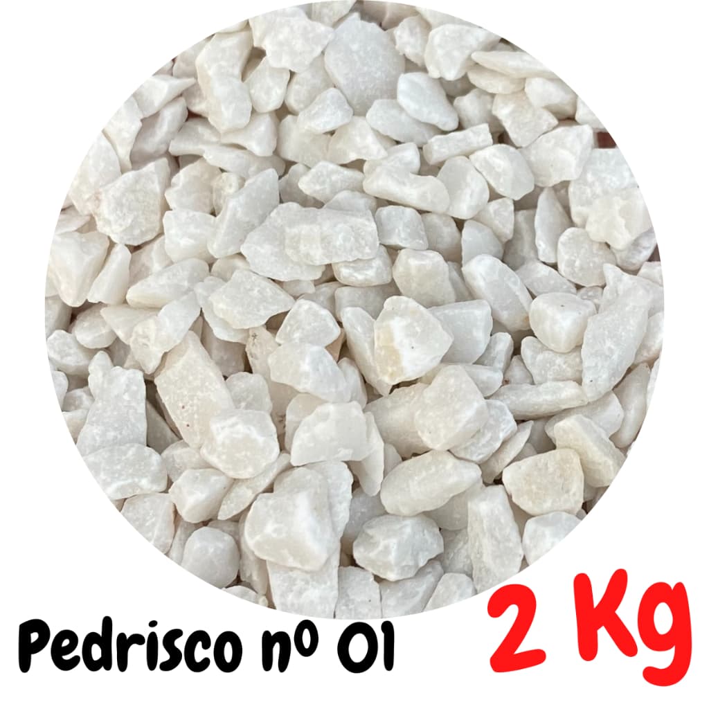Pedrinha Branca Para Montagem de Arranjos Vasos Suculenta Pedrisco Aquario Jardim Terrario