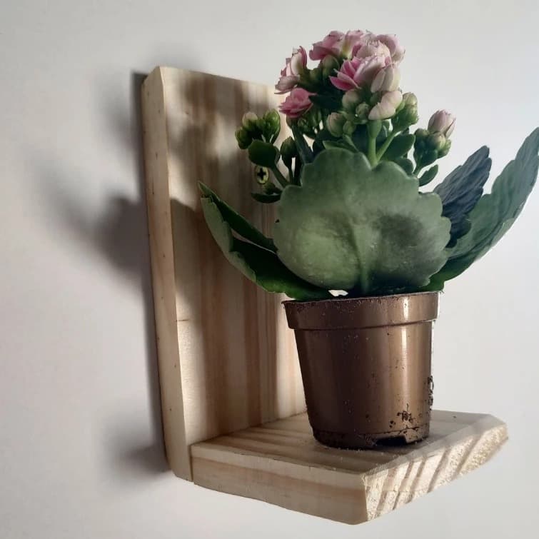 Mini Prateleira em L de Madeira Pinus Natural Kit 6 Unidades Rústica Artesanal Multiuso para Decoração Plantas