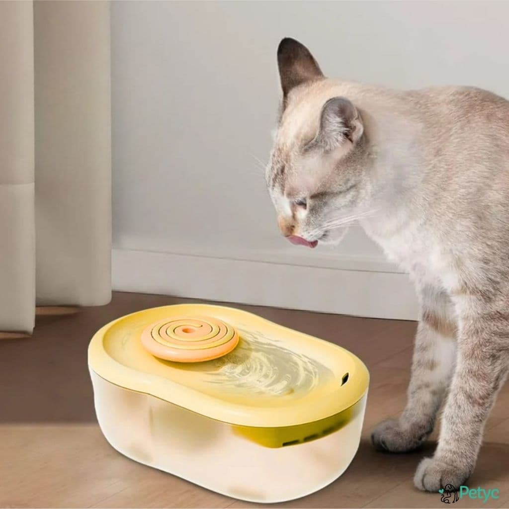 Bebedouro Elevado Ergonomico Automatico Gato 2,2l Silencioso Pirulito Pets USB Lindo PETYC