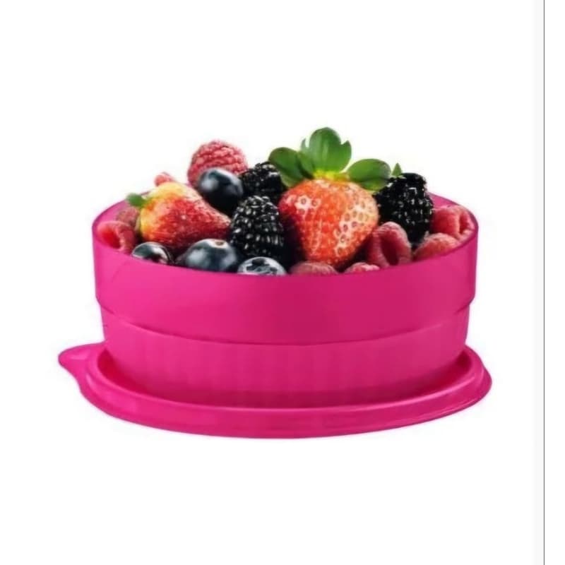 Tupperware Tigela Premier 500ml  Policarbonat
