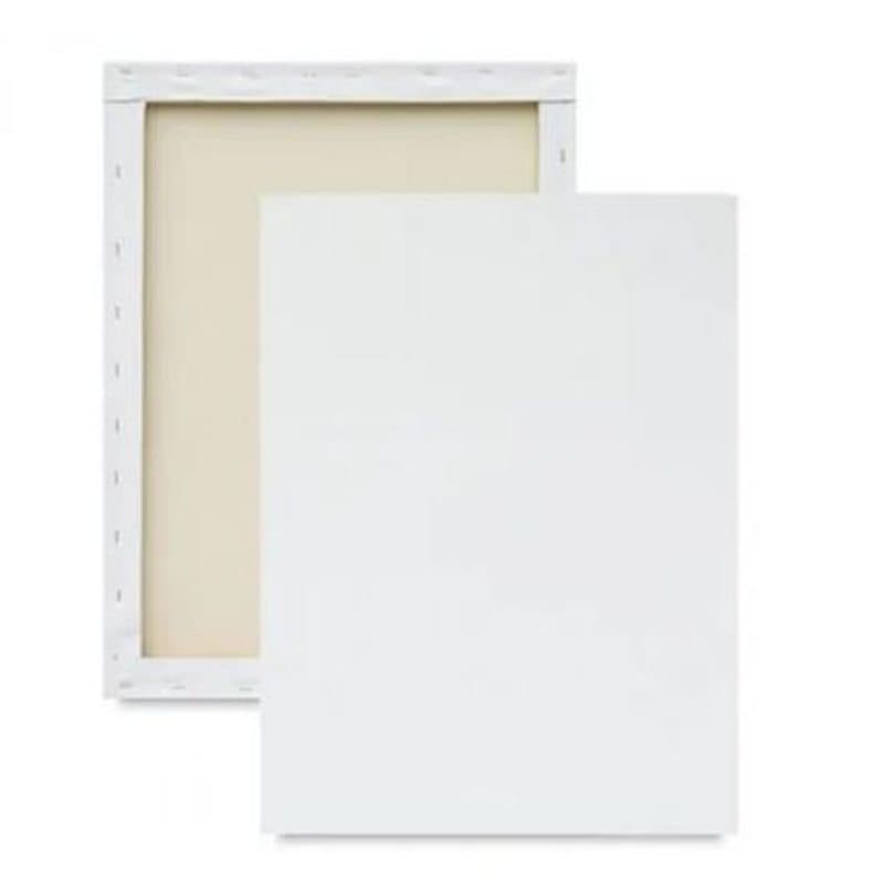 Tela de Pintura 60x70 -  1 unidade