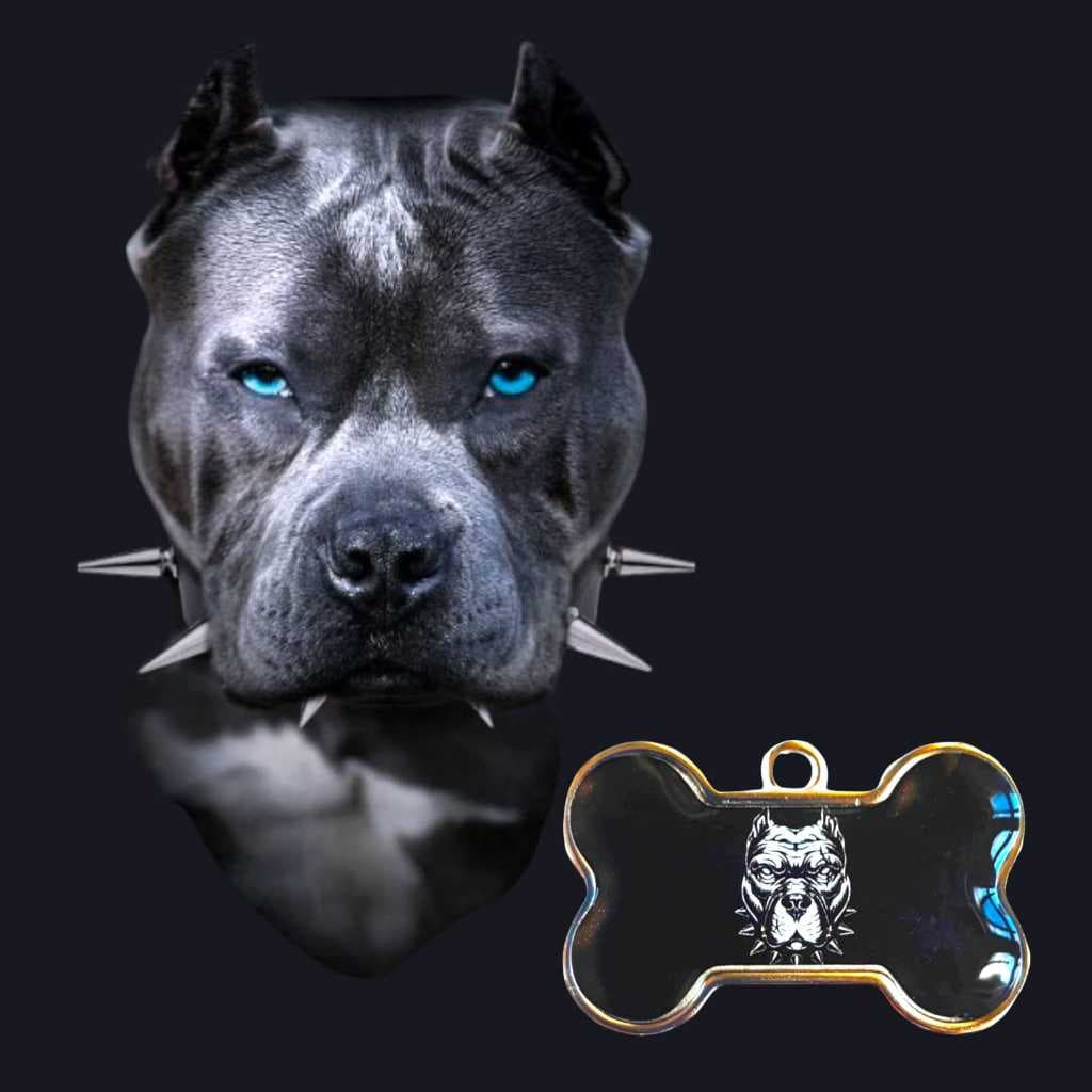 Placa Plaquinha de Identificação Pet Ossinho P/ Coleira. 90% Dos Pets Identificados São Encontrados