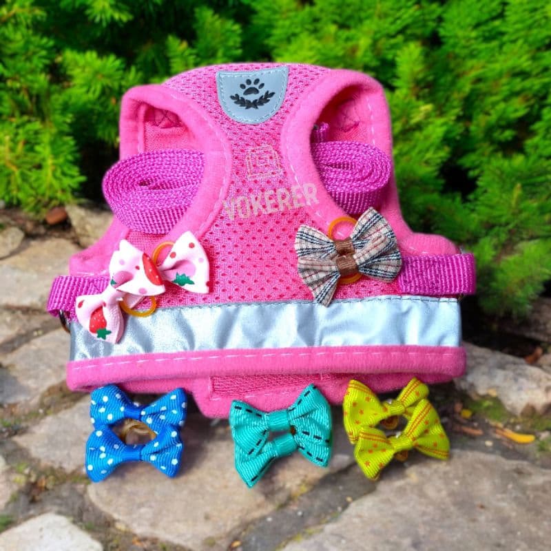 Coleira para Cachorro Kit Peitoral Pink + Laços Peitoral Cachorro Pequeno