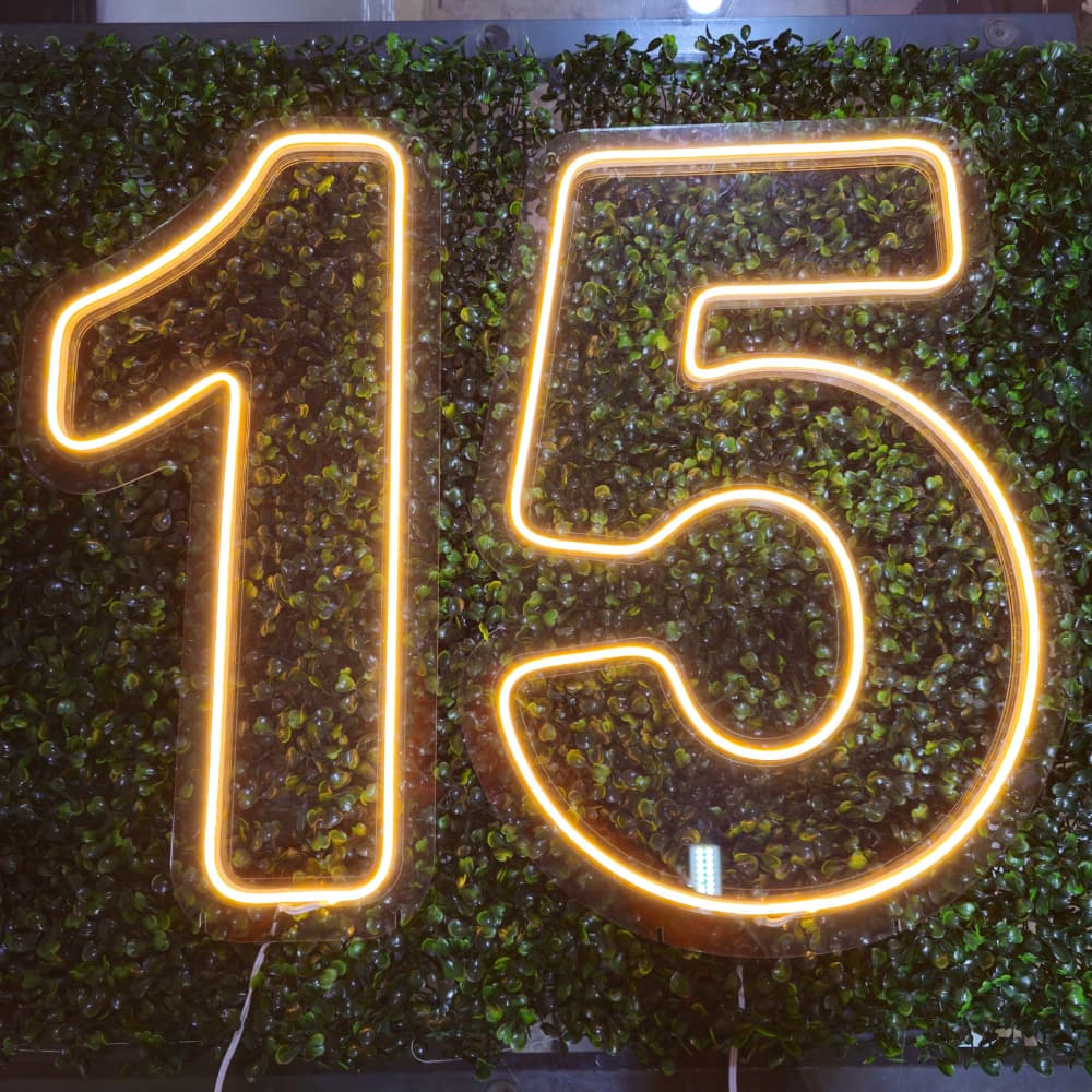 Painel Neon Numero 15 anos Festa Debutante Iluminação Premium 50Cm 60cm 70cm Com 110/220v Cores Rosa Azul Verde Vermelho
