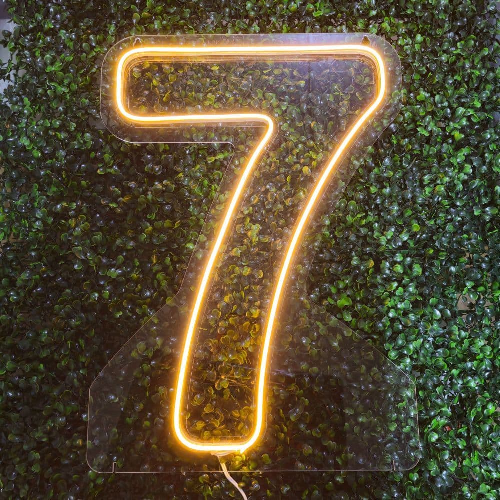Número 7 Neon LED Sete 50 Cm Iluminado Festa Frio ou Quente