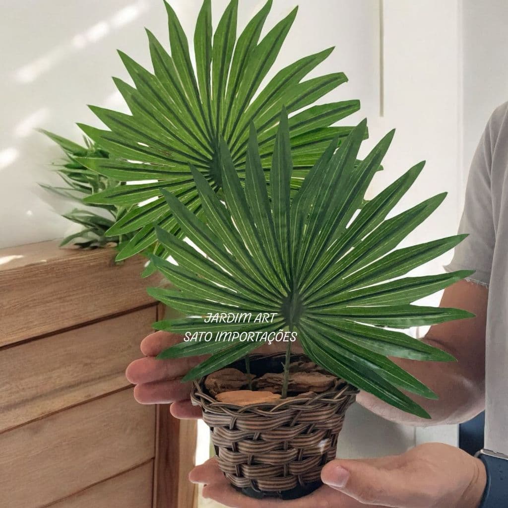 Tropical Chic: Palmeira-LEQUE no Vaso Trançado para Ambientes Sofisticados