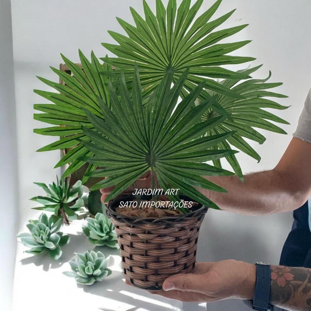 Palmeira-LEQUE Elegance: Sofisticação Verde em Vaso Trançado a mão