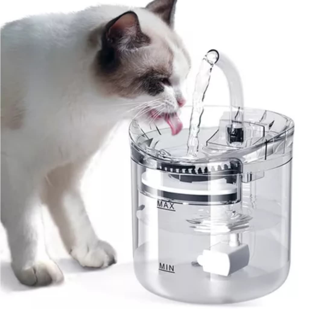 Fonte De Água Do Gato Bebedouro Automático Filtro Transparente Beber Para Gatos Purificação