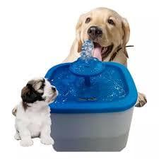 Fonte Bebedouro Para Pets Agua Filtro 1.2l Bomba Elétrica Cor Azul 110v/220v