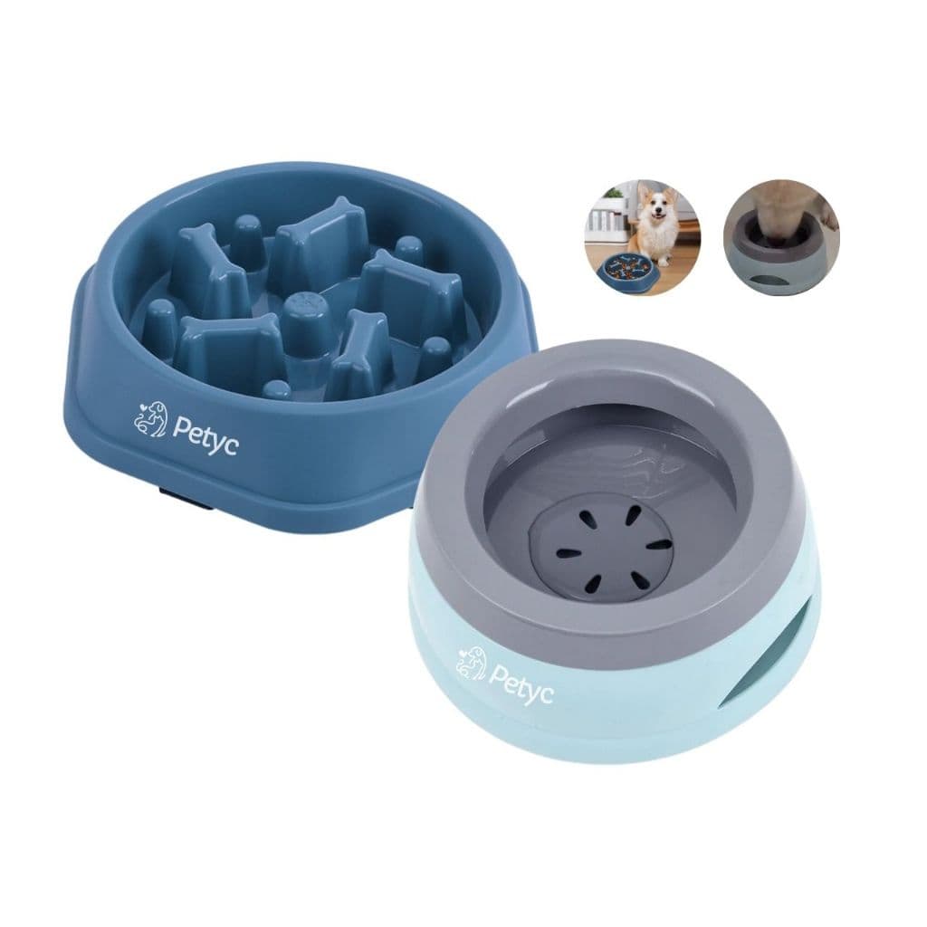 Kit Bebedouro Pelo Sequinho + Comedouro Labirinto Lento Petyc Pets Alimentador Gradual Interativo Antirrespingo
