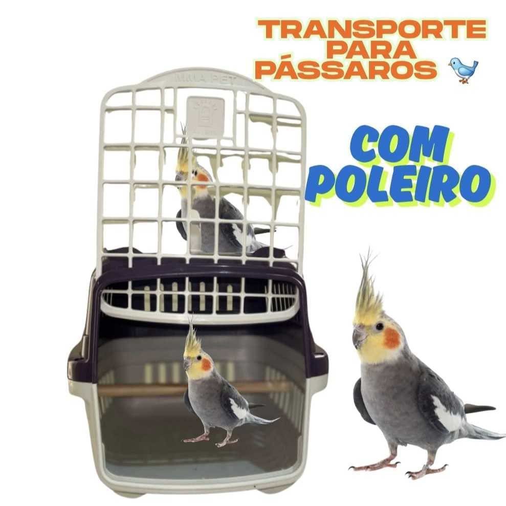 Caixa Transporte Passeio com Poleiro para Passáros Calopsita Agapornis e Periquitos