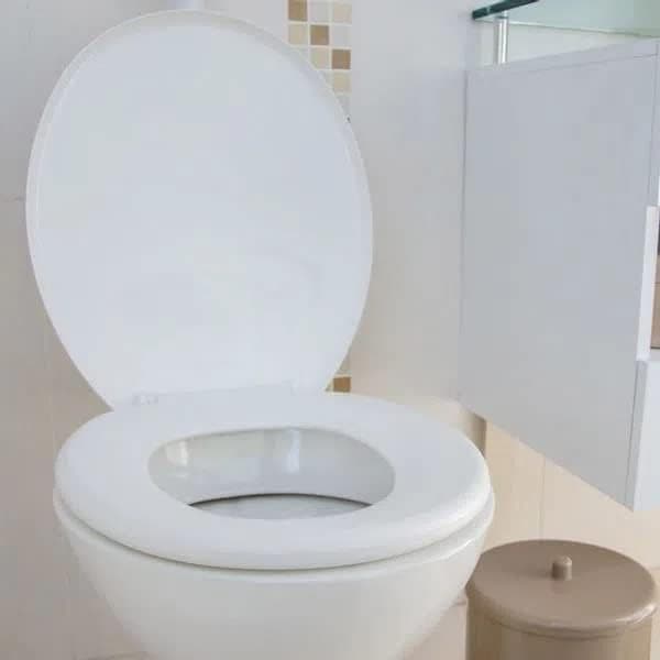 Assento Sanitário Tampa Vaso Soft Oval Redondo Deca Celite Logasa Incepa Diversas Cores