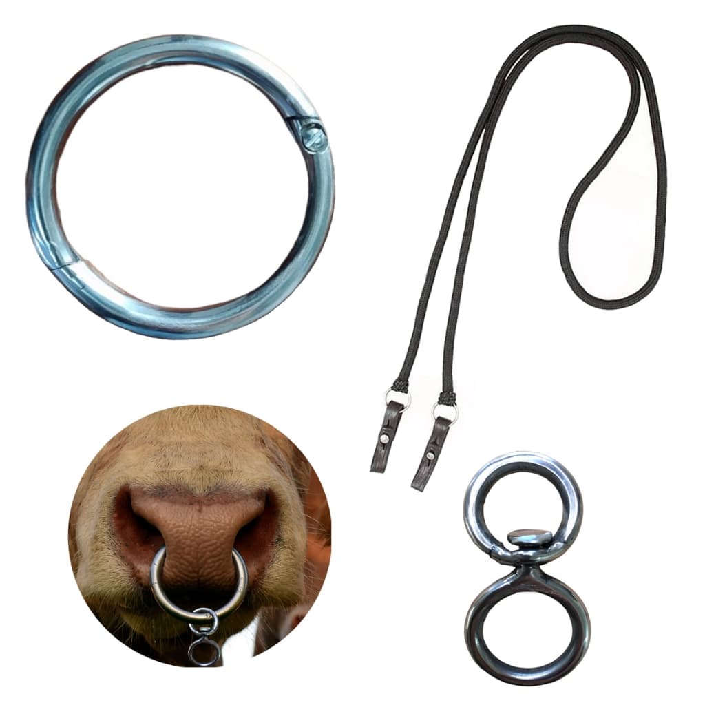kite argola formiga nariz venta fussa com girador e rédia para boi vaca bovino